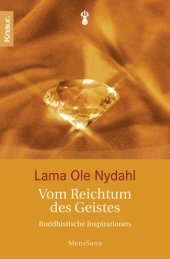 book Vom Reichtum des Geistes