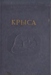 book Крыса.