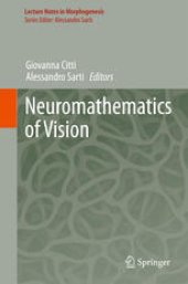 book Neuromathematics of Vision