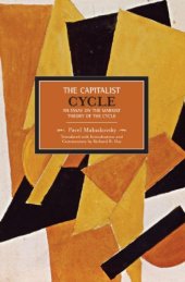 book The Capitalist Cycle: An Essay on the Marxist Theory of the Cycle