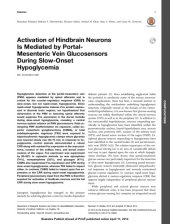 book [Article] Activation of Hindbrain Neurons Is Mediated by Portal- Mesenteric Vein Glucosensors During Slow-Onset Hypoglycemia