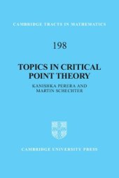 book Topics in Critical Point Theory