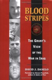 book Blood Stripes: The Grunt's View of the War in Iraq