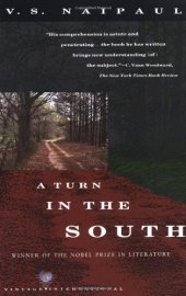 book A Turn in the South