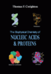 book Biophysical Chemistry of Nucleic Acids and Proteins