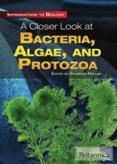 book A closer look at bacteria, algae, and protozoa