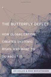 book The Butterfly Defect: How Globalization Creates Systemic Risks, and What to Do about It