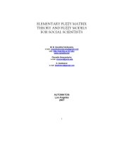 book ELEMENTARY FUZZY MATRIX THEORY AND FUZZY MODELS FOR SOCIAL SCIENTISTS