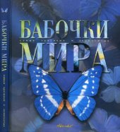 book Бабочки мира