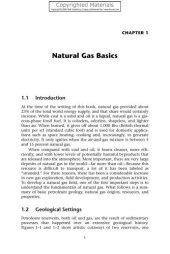 book Advanced natural gas engineering