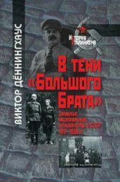 book В тени Большого брата. Западные национальные меньшинства в СССР.(1917-1938 гг.)