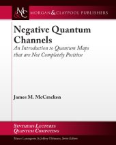 book Negative Quantum Channels: An Introduction to Quantum Maps that are Not Completely Positive