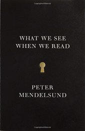 book What We See When We Read