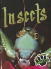 book Insects