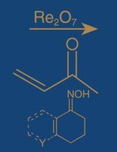 book Comprehensive Organic Name Reactions and Reagents