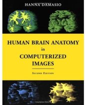 book Human Brain Anatomy in Computerized Images