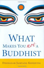 book What Makes You Not a Buddhist