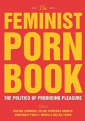 book Feminist Porn Book: The Politics of Producing Pleasure