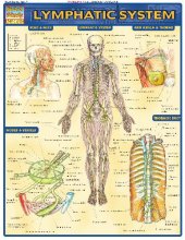 book BarCharts QuickStudy Lymphatic System