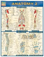 book BarCharts QuickStudy Anatomy