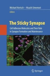 book The Sticky Synapse: Cell Adhesion Molecules and Their Role in Synapse Formation and Maintenance