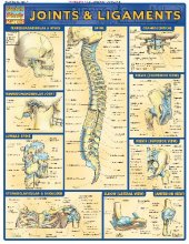 book BarCharts QuickStudy Joints & Ligaments