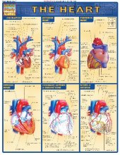 book BarCharts QuickStudy Heart