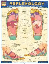 book BarCharts QuickStudy Reflexology