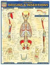 book BarCharts QuickStudy Muscular Origins & Insertions