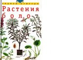 book Растения болот: Учеб. пособие для школьников мл. и сред. кл