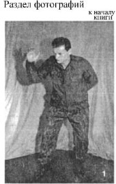 book Бой при ограниченных возможностях: Рукопашная схватка одной рукой