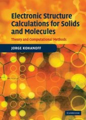 book Electronic structure calculations for solids and molecules : theory and computational methods