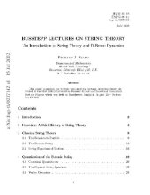 book Busstepp Lectures on String Theory