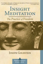 book Insight Meditation: The Practice of Freedom