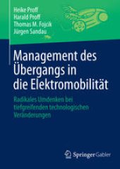 book Management des Übergangs in die Elektromobilität: Radikales Umdenken bei tiefgreifenden technologischen Veränderungen