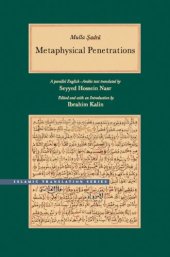 book Metaphysical Penetrations: A Parallel English-Arabic Text