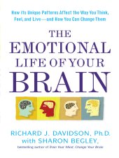 book The Emotional Life of Your Brain: How Its Unique Patterns Affect the Way You Think, Feel, and Live—and How You Can Change Them