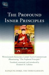 book The Profound Inner Principles - With Jamgon Kongtrul Lodro Taye's Commentary Illuminating "The Profound Principles"