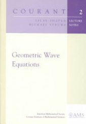 book Geometric Wave Equations