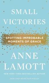 book Small Victories: Spotting Improbable Moments of Grace