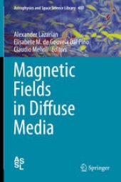book Magnetic Fields in Diffuse Media