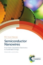 book Semiconductor Nanowires: From Next-Generation Electronics to Sustainable Energy