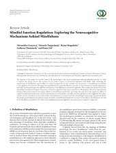 book Mindfulness Emotion Regulation: Exploring the Neurocognitive Mechanisms behind Mindfulness