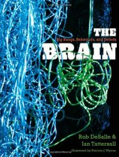 book The Brain: Big Bangs, Behaviors, and Beliefs