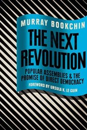 book The Next Revolution: Popular Assemblies and the Promise of Direct Democracy