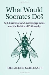 book What Would Socrates Do?: Self-Examination, Civic Engagement, and the Politics of Philosophy