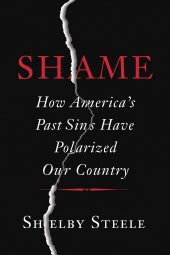 book Shame: how America's past sins have polarized our country