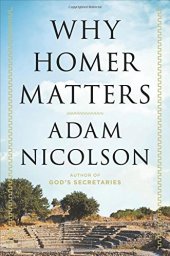 book Why Homer Matters