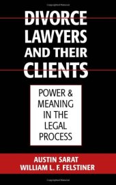 book Divorce Lawyers and Their Clients: Power and Meaning in the Legal Process