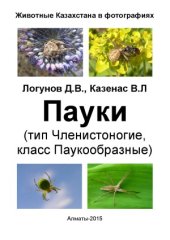 book Пауки (тип Членистоногие, класс Паукообразные)